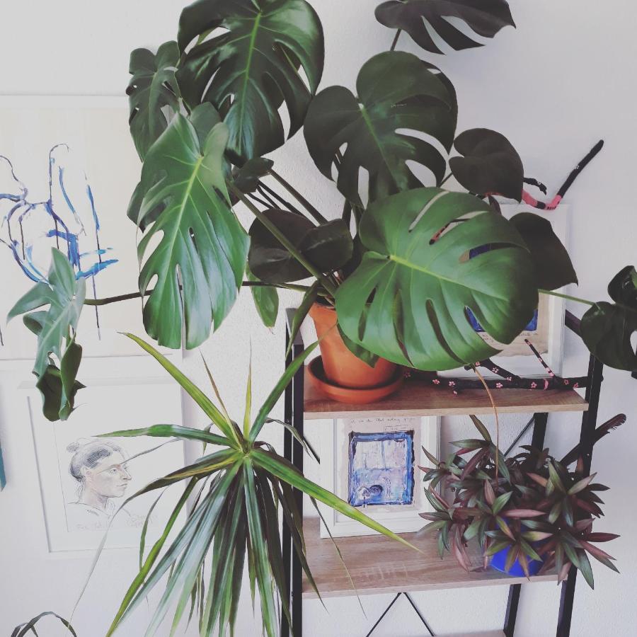#Staywild29 - Gemuetliche Ferienwohnung Im Allgaeu Kempten Luaran gambar